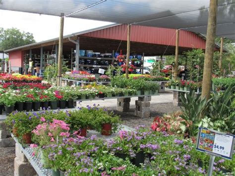 Yard stop - 6 days ago · Leesburg. 27310 US Hwy 27 Leesburg, FL 34748. (352) 530-2670. The Yard Stop Garden Center. The Yard Stop Garden Center has everything you need to make …